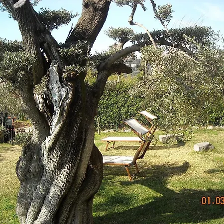 Con Giardino Vista Mare